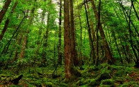 世界短道速滑青训督导制度进入常态化管理，世界短道速滑比赛